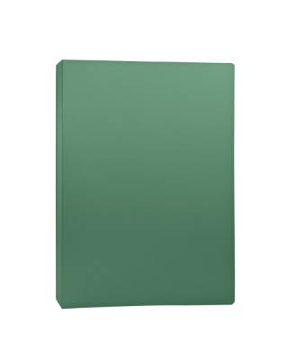 Папка с прижимом А4 255073-03 BASIC, пл. 500 мкм, корешок 21мм, цв. зеленый